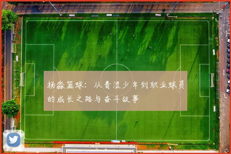 杨淼篮球：从青涩少年到职业球员的成长之路与奋斗故事