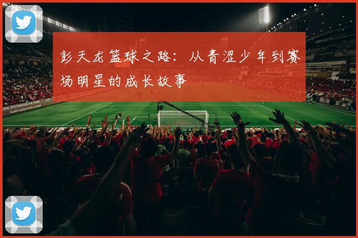 彭天龙篮球之路：从青涩少年到赛场明星的成长故事
