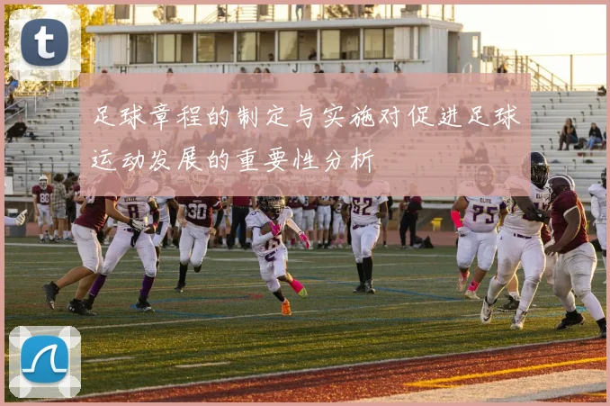 足球章程的制定与实施对促进足球运动发展的重要性分析