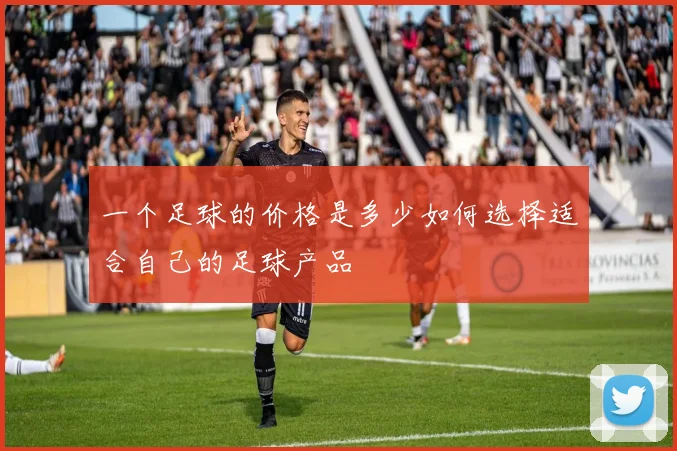 一个足球的价格是多少如何选择适合自己的足球产品