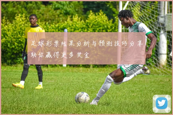 足球彩票结果分析与预测技巧分享助你赢得更多奖金