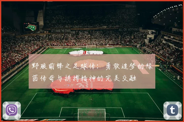 野狼前锋之足球传：勇敢追梦的绿茵传奇与拼搏精神的完美交融