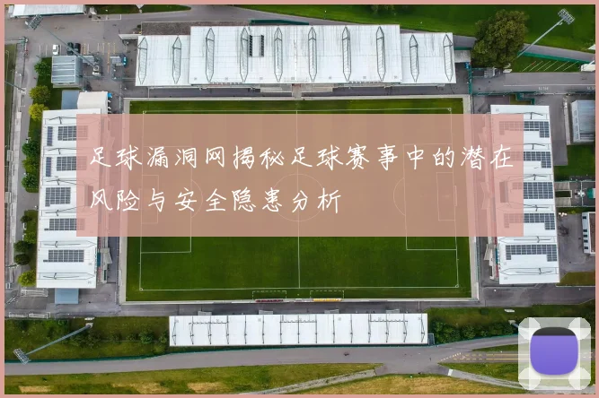 足球漏洞网揭秘足球赛事中的潜在风险与安全隐患分析