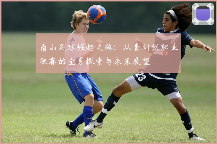 南山足球崛起之路：从青训到职业联赛的全景探索与未来展望