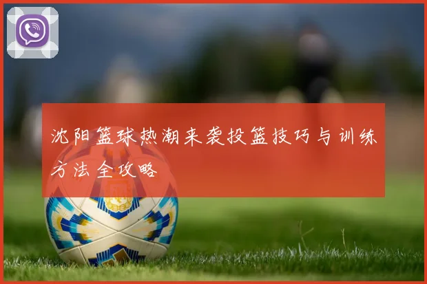 沈阳篮球热潮来袭投篮技巧与训练方法全攻略