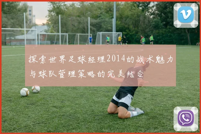 探索世界足球经理2014的战术魅力与球队管理策略的完美结合