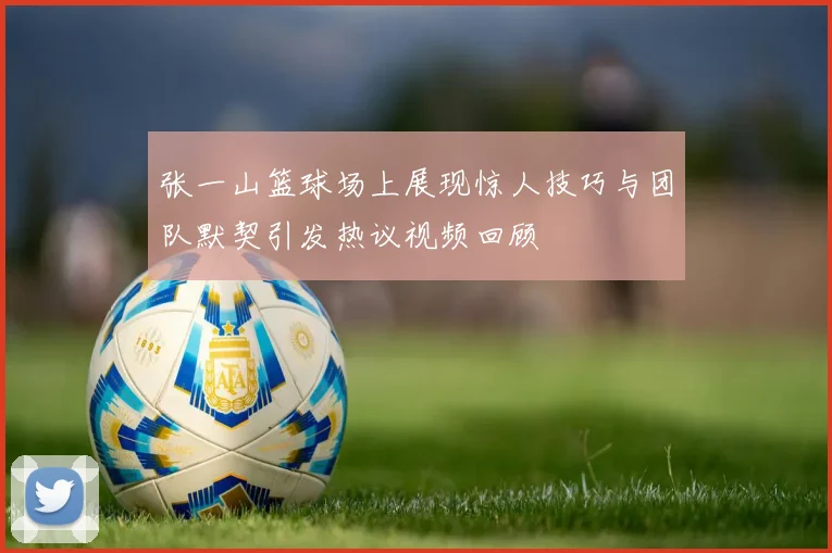 张一山篮球场上展现惊人技巧与团队默契引发热议视频回顾