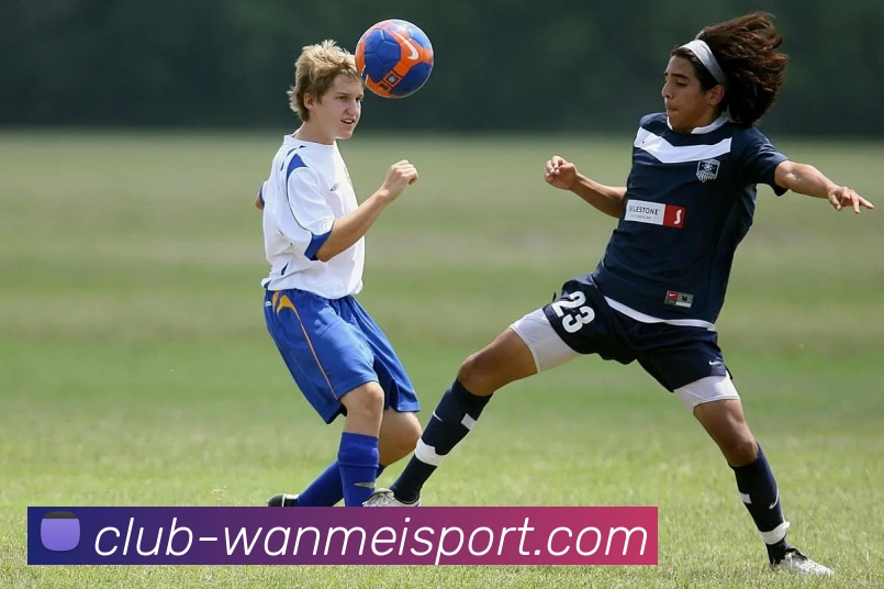 完美体育官网平台生态图